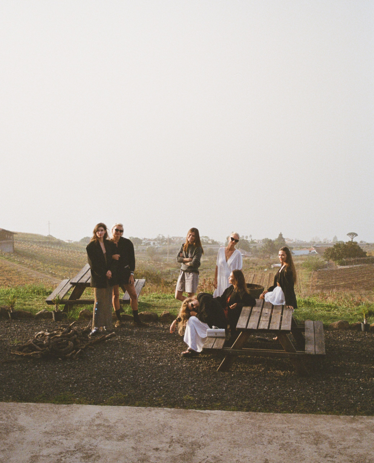 Untitled design (19)